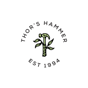 Thor's Hammer logo